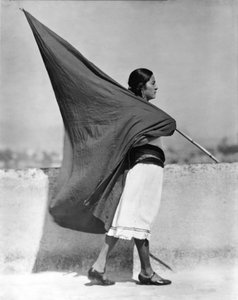 Woman with Flag, Mexico City